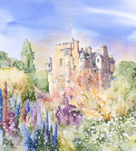 Click for larger image & more details